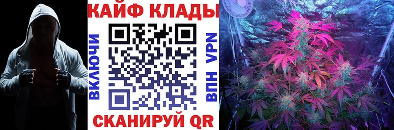 Где можно купить наркотики Ленинградская Псилоцибиновые грибы  кракен онион  COCAIN  ГАШИШ  Меф мяу мяу  A-PVP  Канабис  Амфетамин 
