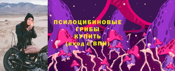 шишки Алексеевка