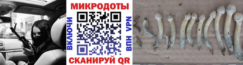 OMG сайт  Ленинградская  Псилоцибиновые грибы Cubensis 